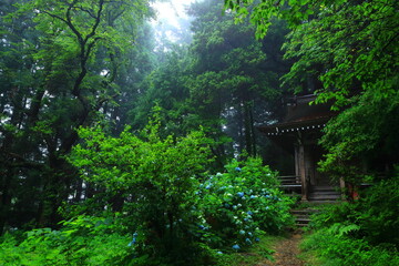 Obraz premium 世界遺産 霧の中尊寺
