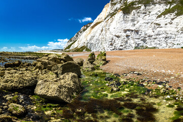 Scenic view of Samphire Hoe Country Park with white cliffs, south England