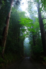 Obraz premium 世界遺産 霧の中尊寺