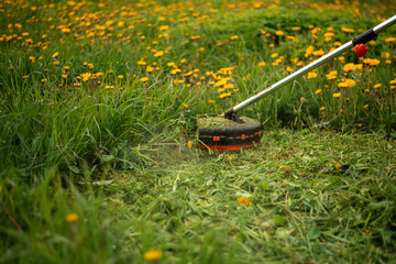 Mowing grass with an electric trimmer