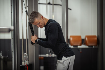 Fototapeta premium Triceps Pulldown Workout