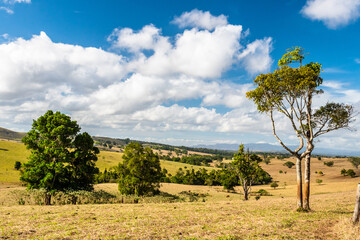 Fototapeta na wymiar Queensland countryside landscape in the dry season