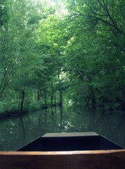 balade en barque sur les canaux du marais poitevin 