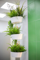 on the wall in the room hang three white planters with green plants.