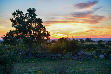Atardecer en la sierra de Madrid