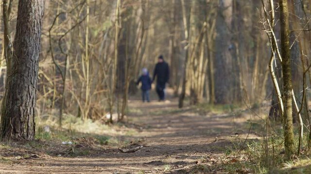 Unrecognizable father and child is hiking in a forest on a sunny cold spring morning, man and boy are walking and talking. Zoom out.