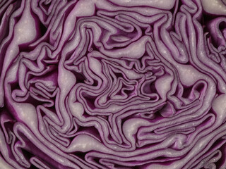 Obraz premium Slice red cabbage closeup. Bright organic vegetable.