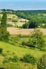 Obraz premium Paysage campagne 681