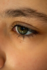 Close-up Long eyelash and natural brown eyebrows, green eye, beauty concept.