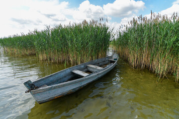 Obraz premium Summer scenery with wooden fishing boat hidden between green reeds on the lake.
