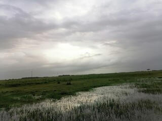 clouds over the field