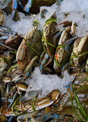 Fresh Crabs on Ice, Mexican Market