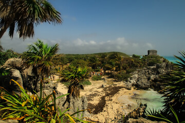 Fototapeta premium palm trees on the beach