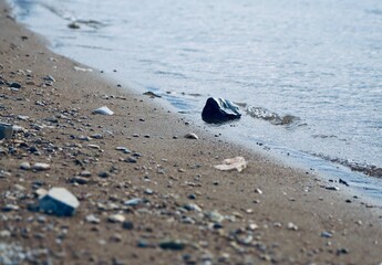 wet stone on the river Bank
