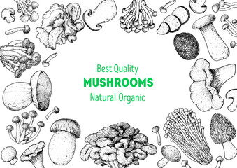 Obraz premium Edible mushrooms hand drawn sketch. Vector illustrations collection. Hand drawn food. Vintage mushrooms sketch. Organic food. Forest mushrooms. Vintage mushrooms background. Healthy food illustration.