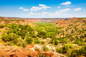 Fototapeta na wymiar View over the Palo Duro Canyon from the Lighthouse rock