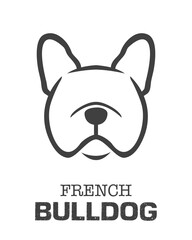 Dog  hand drawing pattern. French bulldog vector cartoon wallpaper isolated black and white.