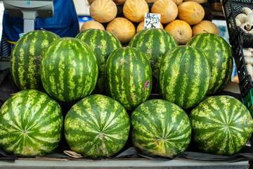 Close up of group of fresh green watermelons and yellow sweet melons ready for sale in organic farm. Fresh fruits concept