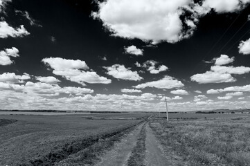 Dirt road through the field in summer on a sunny day. Black and white poster.