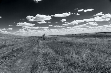 Dirt road through the field in summer on a sunny day. Black and white poster.