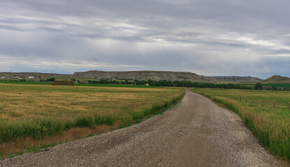 Fototapeta premium rural landscape with road and blue sky
