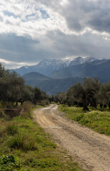 Road to the mountains near the village