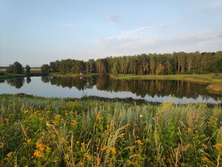 lake in the autumn
