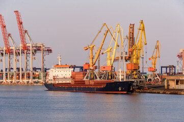 Fototapeta premium harbor cranes in sunny weather