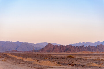 Desert in Syria in the early morning