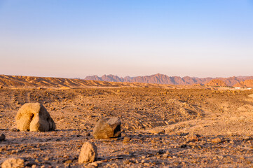 Desert in Syria in the early morning