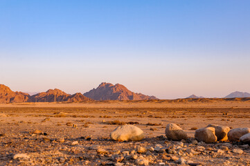 Desert in Syria in the early morning
