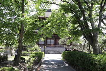 Naklejka premium 善光寺（本堂の裏）