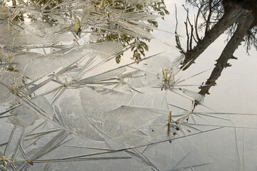 Ice layer on String Lake;  Grand Teton NP;  Wyoming