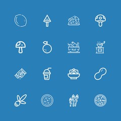 Editable 16 vegetarian icons for web and mobile