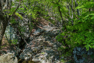 Riverbed of large granite boulders,