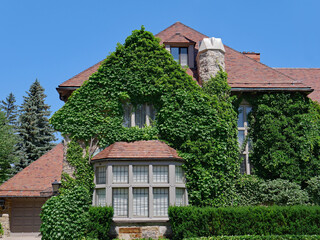 Very green vine covered house with bay window