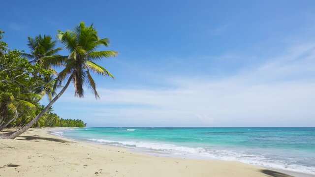 The Dominican Republic Punta Cana beaches. Caribbean Sea palm beach landscape. Summer travel
