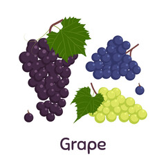 Grapes. Vector Illustration EPS.