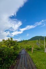Fototapeta na wymiar 甘利山頂上への道