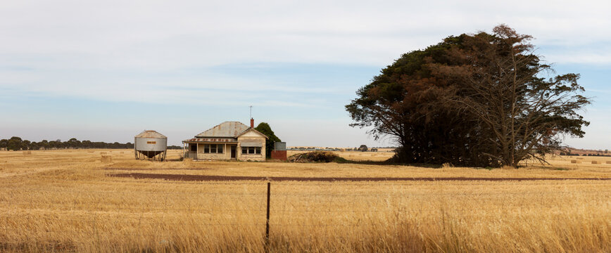 Panoramic image of an old timber worn out abandoned traditional Australian farm house in the middle of a newly harvested field on a agricultural property in rural Victoria, Australia
