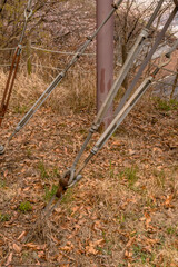 Support cables and turnbuckle