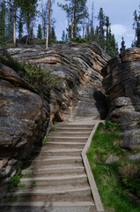 Wooden Path at Athabasca Falls