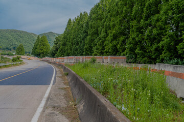 Sections of concrete median