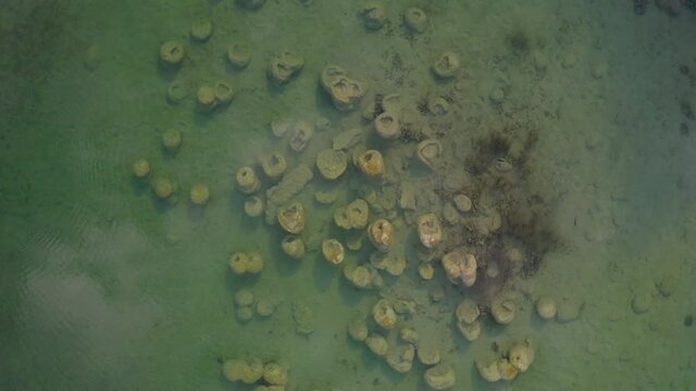 Aerial view of ancient Stromatolites: prehistoric rock-like structures formed by bacteria. Fossils from Precambrian. Cuatro cienegas, Coahuila Mexico