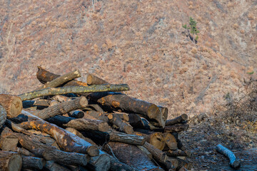 Closeup of pile of cut logs