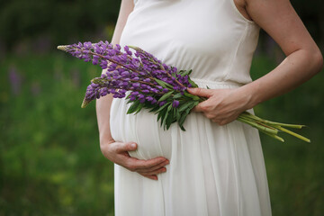 Close-up of a pregnant woman’s tummy holding a bouquet of purple lupine flowers. The concept of motherhood, pregnancy..