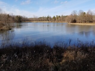 Scenic lake in public park area on sunny day