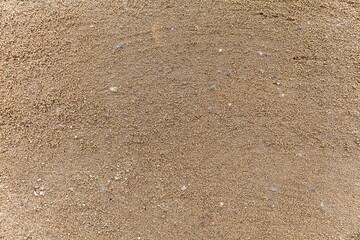 Dry soil texture and background. Red soil background