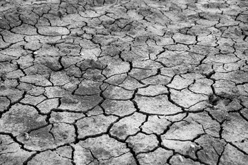 Cracked and dried mud texture,global warming and climate change.