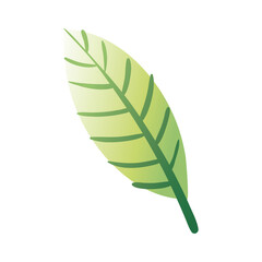 leaf plant hand draw style icon